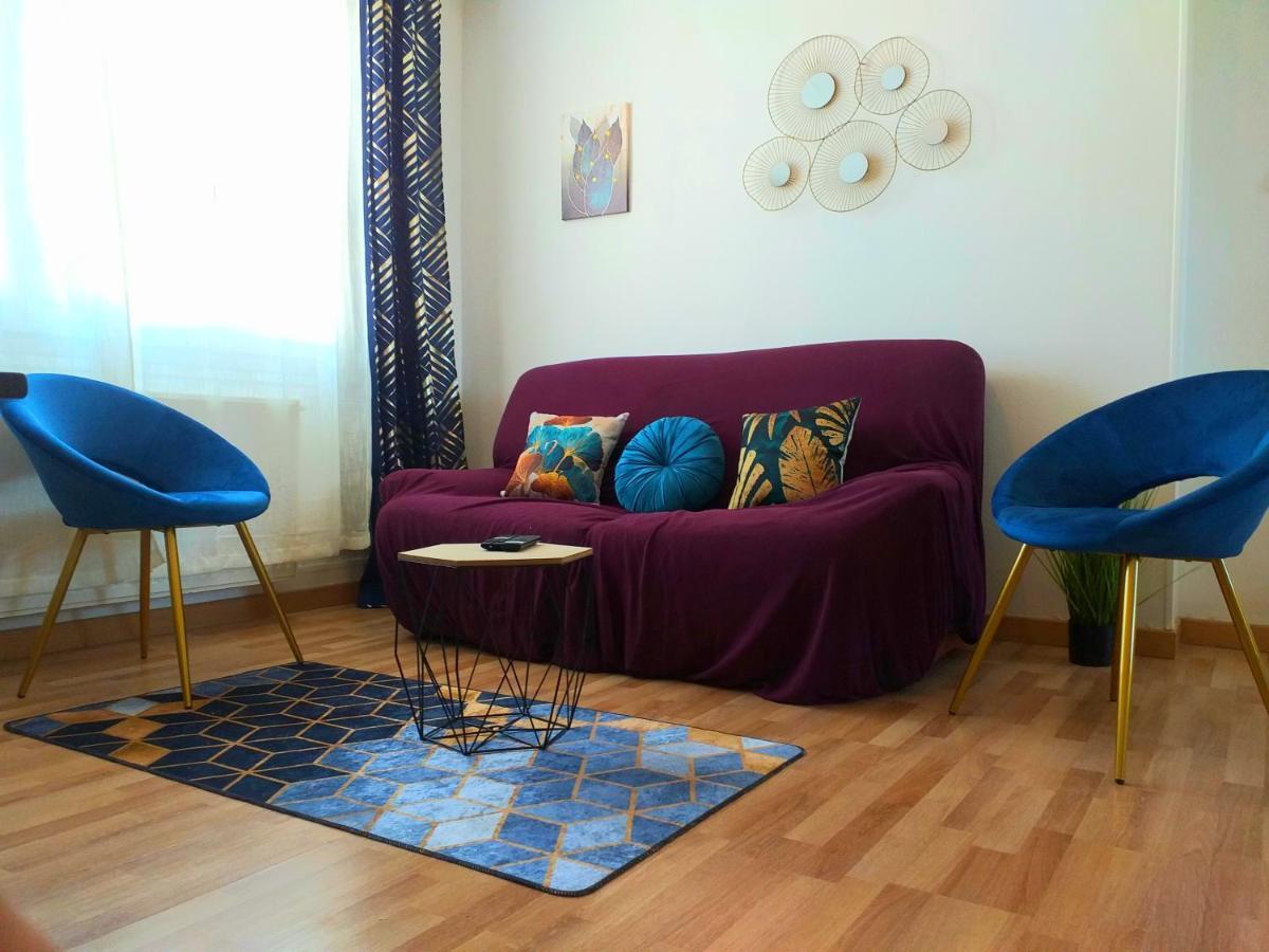 Le Tigre - Appartement Centre-Ville Au Calme, Parking Prive Μπουρζ Εξωτερικό φωτογραφία